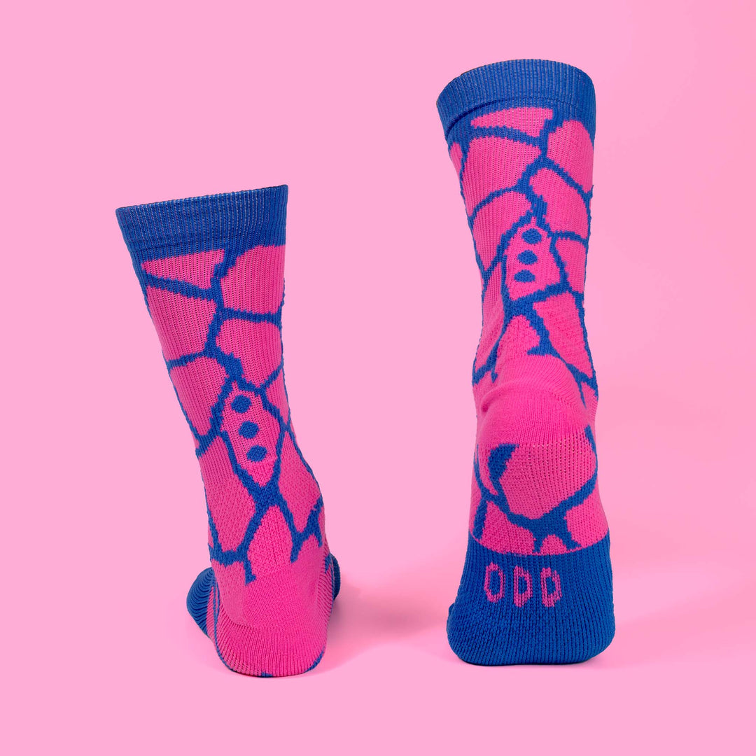 Blue/Pink Giraffe | Socks